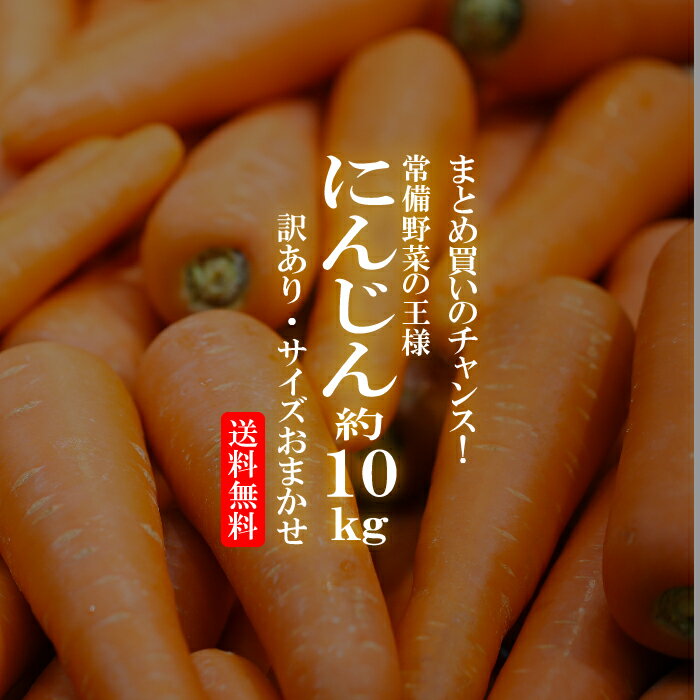 楽天新鮮野菜とフルーツのお店　旬屋【送料無料】国内産　訳あり人参 10kg 【同梱不可】【まとめ買い 常備野菜 人参 にんじん ニンジン 訳あり サイズおまかせ 野菜 お買い得 国内産限定】