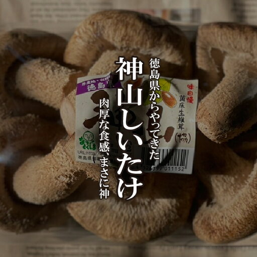 神山椎茸 1PAC 【神山しいたけ/きのこ/珍しい野菜/珍しいキノコ】 神山椎茸 1PAC 【神山しいたけ/きのこ/珍しい野菜/珍しいキノコ】