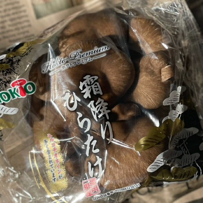 霜降り平茸　1PAC　シモフリひらたけ　きのこ／珍しい野菜／珍しいキノコ
