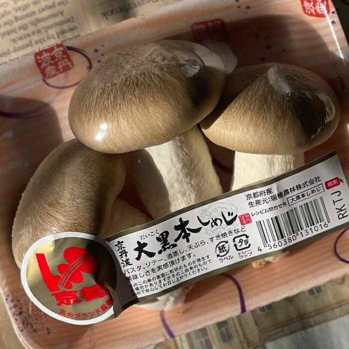 新鮮野菜とフルーツのお店 旬屋の大黒本しめじ　1PAC　【きのこ／珍しい野菜／珍しいキノコ】｜アングル2