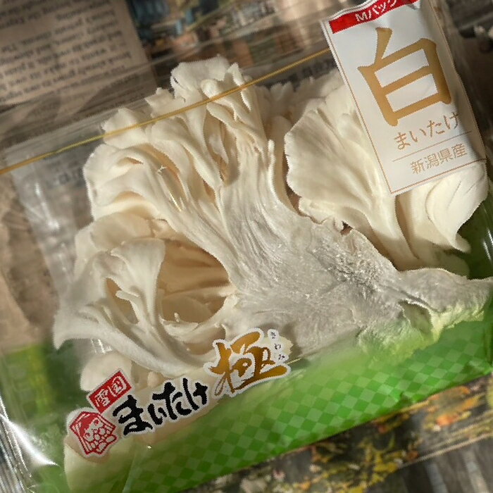 北海道美深・下川産JA北はるか　ホワイトアスパラ　2L　1．0kg【送料無料】