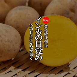 テレビ『マツコの知らない世界』で紹介！【送料無料】インカのめざめ 1ケース（約10kg）（S〜L・サイズおまかせ） じゃがいも 芋　【インカの目覚め　新鮮野菜　珍しい野菜　野菜　やさい　珍しい　変わった野菜　おいしい　インスタ映え　綺麗　彩】