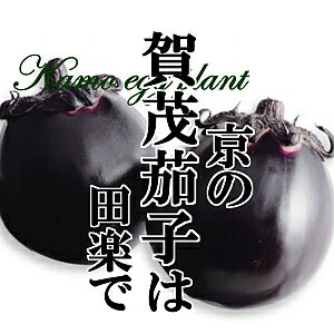 вػ 1 ڤʤ Фʤ