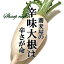 【楽天1位受賞！】辛味大根 1本（250g前後）【大根　薬味　だいこん　ダイコン　蕎麦　そば　ソバ　蕎麦屋　辛い　からい　辛味　からみ　高級野菜　野菜　珍しい野菜】