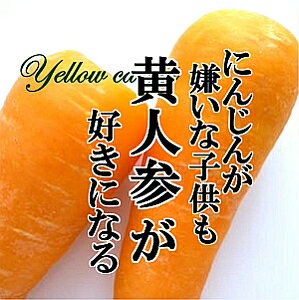 楽天新鮮野菜とフルーツのお店　旬屋【送料無料】黄人参 1kg 黄色 人参 にんじん ニンジン イエロー 鮮やか めずらしい野菜