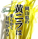 黄ニラ1束 やさしい黄色が美しく、炒め物や春巻き、スープなどによく使われます 2