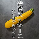ズッキーニ/黄色 1本【イエロー  イエローズッキーニ 黄色ズッキーニ お取り寄せ 単品 野菜 カラフル サラダ 新鮮 インスタ映え おしゃれ】