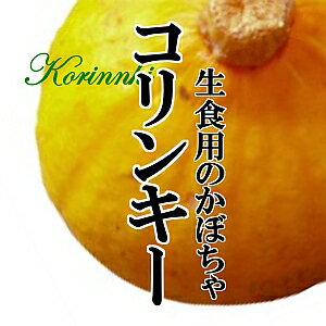 【6月頃入荷予定】コリンキー 1個　生食用のかぼちゃ