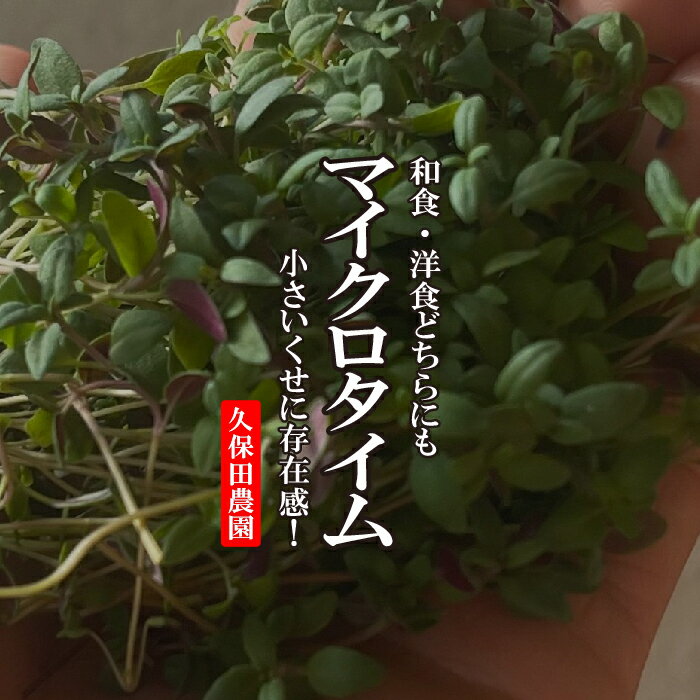 マイクロタイム 1PAC 約15g 【久保田農園 野菜 福岡産 珍しい野菜 あしらい 料理 アクセント】