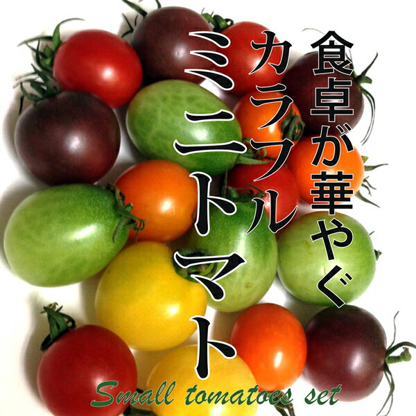 カラフルミニトマト 1パック 200g(*色の種類は入荷状況によって変わります)【サラダ 彩り 鮮やか インスタ映え ギフト 新鮮野菜 野菜 】