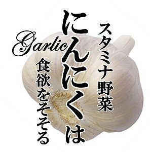 楽天新鮮野菜とフルーツのお店　旬屋にんにく 青森産　1個　（約100g）　 【ニンニク　新鮮野菜　珍しい野菜　野菜　やさい　珍しい　変わった野菜　おいしい　インスタ映え　綺麗　彩　あしらい　飾り　アクセント　料理】