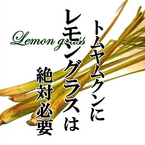 レモングラス 1PAC ハーブ 【タイ料理 レモンのようなさわやかな香り ハーブティー スープ・肉・魚料理に！】 新鮮野菜をお届けします！ 2