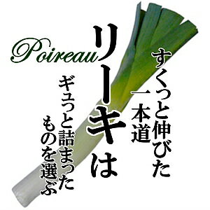 リーキ 1本 【ポワロネギ/ ポロネギ/ ポワロ―/ 西洋ネギ/新鮮野菜/珍しい野菜/野菜/やさい/珍しい/変わった野菜/美味しい/インスタ映え..