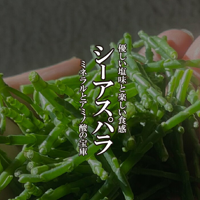 シーアスパラ　1PAC（約30g）【野菜　珍しい野菜　高級野菜　野菜　新鮮野菜　珍しい野菜　野菜　やさい　珍しい　変わった野菜　おいしい　インスタ映え　綺麗　彩　あしらい　飾り　アクセント　料理】】