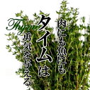 タイム 1PAC 【ハーブ 香辛野菜 新鮮野菜 珍しい野菜 野菜 やさい 珍しい 変わった野菜 おいしい インスタ映え 綺麗 彩 あしらい 飾り アクセント 料理】