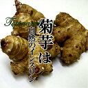 菊芋 約1kg キクイモ きくいも 新鮮野菜をお届けします！ 2