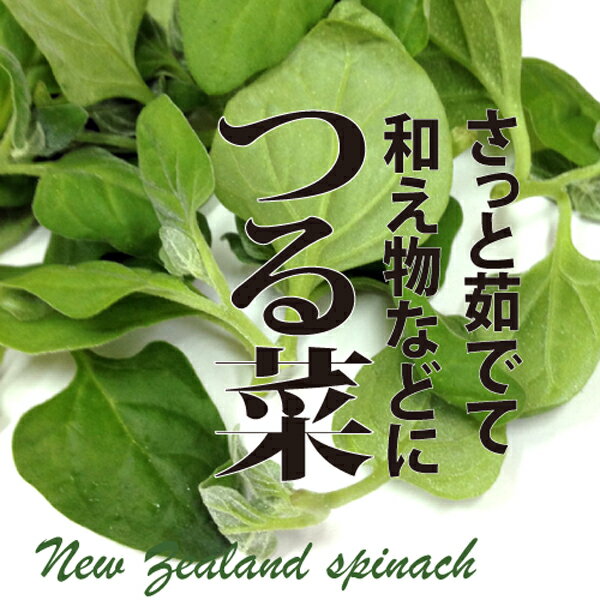 つる菜　1PAC　約200g【ツルナ/つるな/蔓菜蕃杏（ばんきょう）/浜千舎（はまじしゃ）/新鮮野菜/珍しい野菜/野菜/やさい/珍しい/変わった野菜/美味しい/インスタ映え/綺麗/彩/あしらい/飾り/アクセント/料理/】のサムネイル