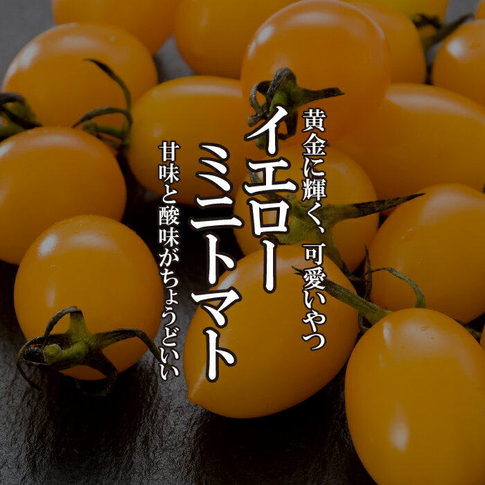 イエローミニトマト 1パック 200g 黄色 カラフル サラダ インスタ映え 彩り