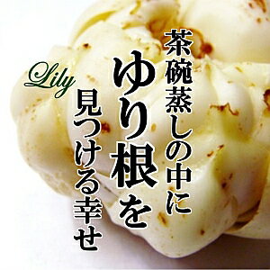 꺬 1 ɴ纬 꺬