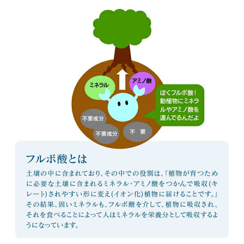 �ե�ܻ��۹� ���̤�ߥͥ�륨�å��� 100ml