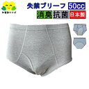 尿漏れパンツ 男性用 日本製 50cc 軽 失禁パンツ テイジン ニット ブリーフ ちょい漏れ 紳士用 介護肌着 介護下着 シニア 高齢者 男性用 インナー 介...