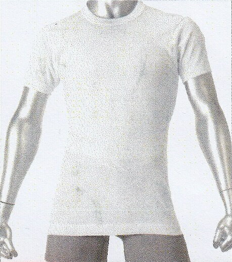 〇【送料無料】BVD　G013丸首　半袖TシャツS・M・L・LL・3L・4L・5L・6Lシンプルで機能的、丈夫で長持ちするさらに着心地にこだわった　綿100％の　肌着です。男性用　メンズ・紳士 1