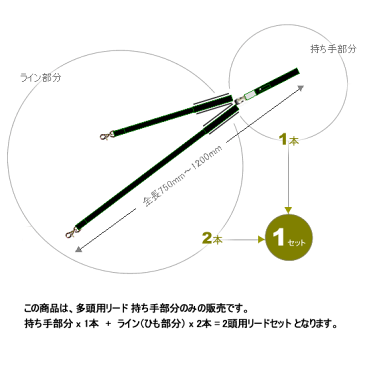 RS-Fred-多頭用持ち手（ショックレスパッド付）合計体重40kg以内用 2頭用 リード 2頭引き