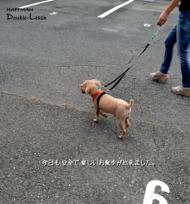 体重８kg以下用 ダブルリード ショックレスパッド付 首輪とハーネスの両方を愛犬に装着させて それぞれにリードをつなぐ 迷子 脱走 逃走 逸走 安全なリード ジョイントリード 犬 外れ防止 ダブルナスカンリード ダブルハーネス 脱げない ハーネス 首輪とハーネスをつなぐ