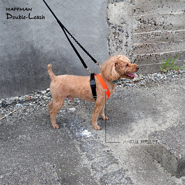 体重８kg以下用 ダブルリード ショックレスパッド付 首輪とハーネスの両方を愛犬に装着させて それぞれにリードをつなぐ 迷子 脱走 逃走 逸走 安全な リード ジョイントリード 犬 外れ防止 ダブルナスカンリード ダブルハーネス 脱げない ハーネス 首輪とハーネスをつなぐ