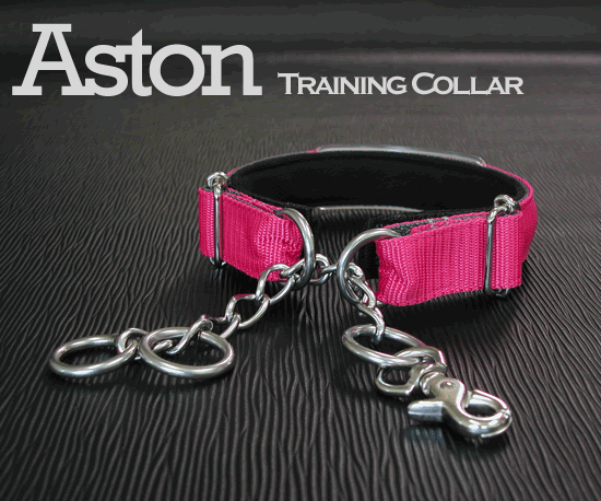 チェーン トレーニングカラー 16mm AstonTraining-Chain 小型犬 しつけ用首輪