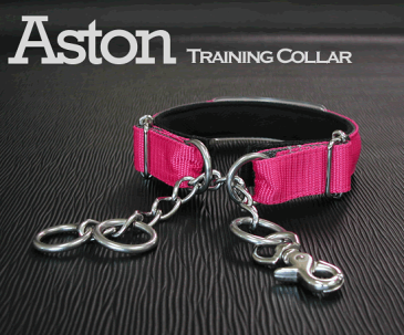 安全な しつけ用首輪 犬の首輪 トレーニングカラー AstonTraining-Chain 25mm 大型犬