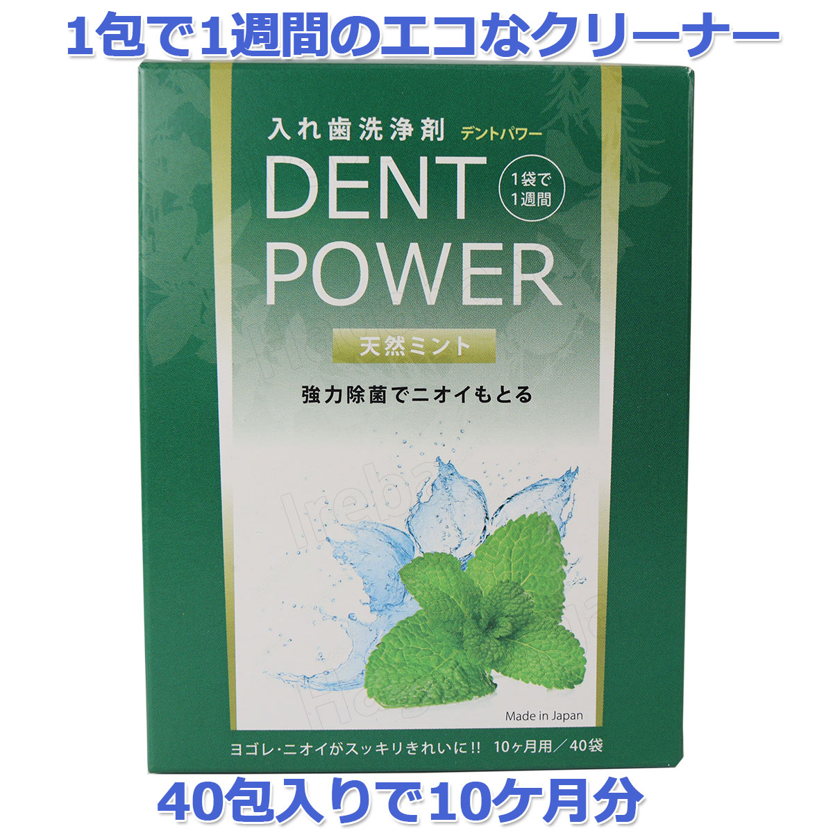 ユニバル デントパワー 10ヵ月用