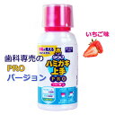 ハミガキ上手プロ(69ml)