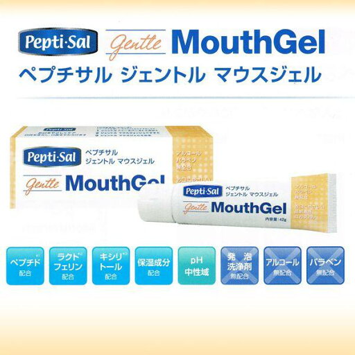 ペプチサル ジェントルマウスジェル 42g ペプチサル ジェントルマウスジェル 42g