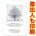 【差出人印刷込み 30枚】 寒中見舞いはがき　KS-51　寒中見舞い ハガキ 葉書