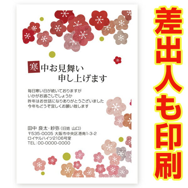 【差出人印刷込み 官製はがき 30枚】 寒中見舞いはがき　KS-55　寒中見舞い ハガキ 葉書