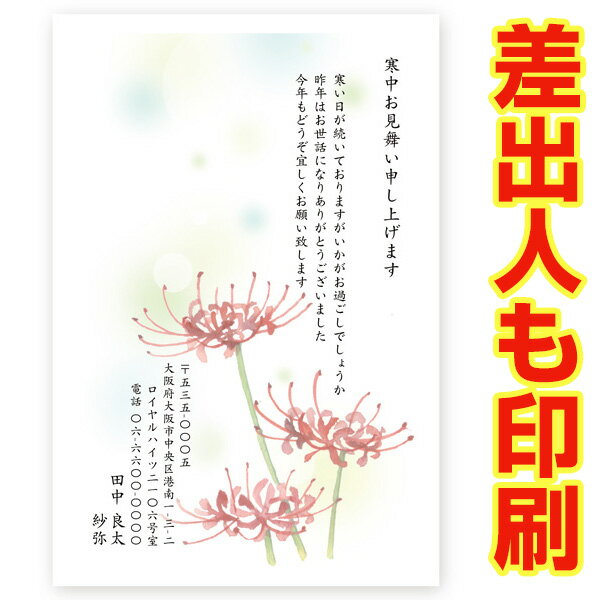 【差出人印刷込み 官製はがき 30枚】 寒中見舞いはがき　KST-13　寒中見舞い ハガキ 葉書