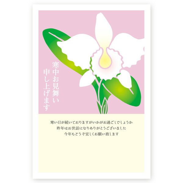 【私製はがき 5枚】寒中見舞いはがき・寒中ハガキ　KSA-05　寒中見舞い　寒中　葉書