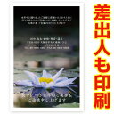 【差出人印刷込み 30枚】 喪中はがき・喪中葉書 ZMSF-04 喪中 ハガキ 印刷 おしゃれ