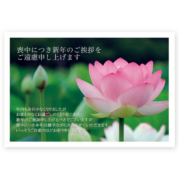 【官製はがき 10枚】喪中はがき・喪中葉書 ZMSF-01 喪中 ハガキ 印刷 おしゃれ