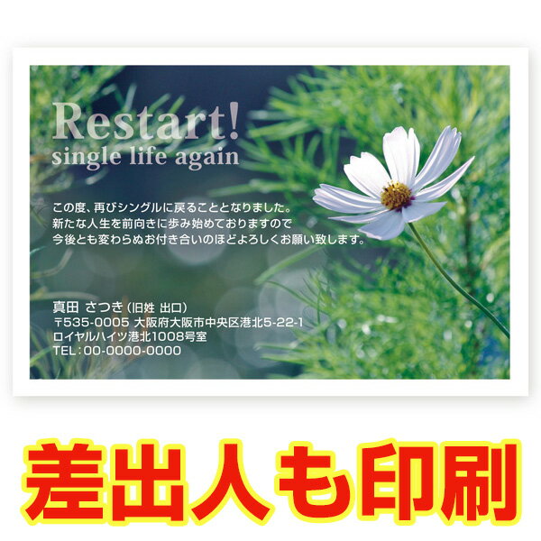 【差出人印刷込み 官製はがき 30枚】 離婚報告 はがき お知らせ SMSF-13　離婚 ハガキ 葉書