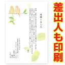 【差出人印刷込み 官製はがき 30枚】 再婚報告はがき・お知らせ 　SAIT-14　再婚　葉書　ハガキ　写真なし