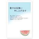 【官製はがき 10枚】暑中見舞いはがき　SST-25 夏　挨拶状　暑中見舞い ハガキ 暑中はがき