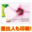 【差出人印刷込み 官製はがき 30枚】 多目的絵はがき MUSF-08 ポストカード 風景写真はがき