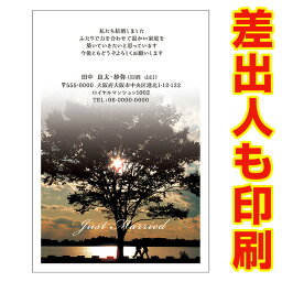 【差出人印刷込み 官製はがき 30枚】 結婚報告はがき・お知らせ WMSF-05 結婚報告　葉書　結婚ハガキ　写真なし