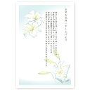 【官製はがき 10枚】余寒見舞いはがき・余寒ハガキ YST-02 余寒見舞い 余寒 葉書