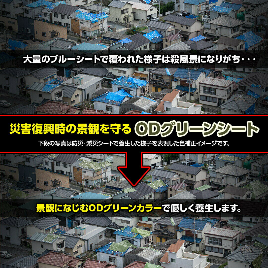 【萩原工業 公式】 ターピー防災・減災シート #3000 3.6m×5.4m | 景観保護 日本製 厚手 防水 養生 台風 災害 防災 備蓄 屋根 雨よけ 風よけ 日よけ カバー 減災 国産 3.6×5.4 2間3間