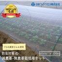 \5倍ポイント&12/25限定抽選で100%ポイントバック 要エントリー/防虫ネット 虫よけネット 90cm×100m サンサンネット EX2000 日本ワイド...
