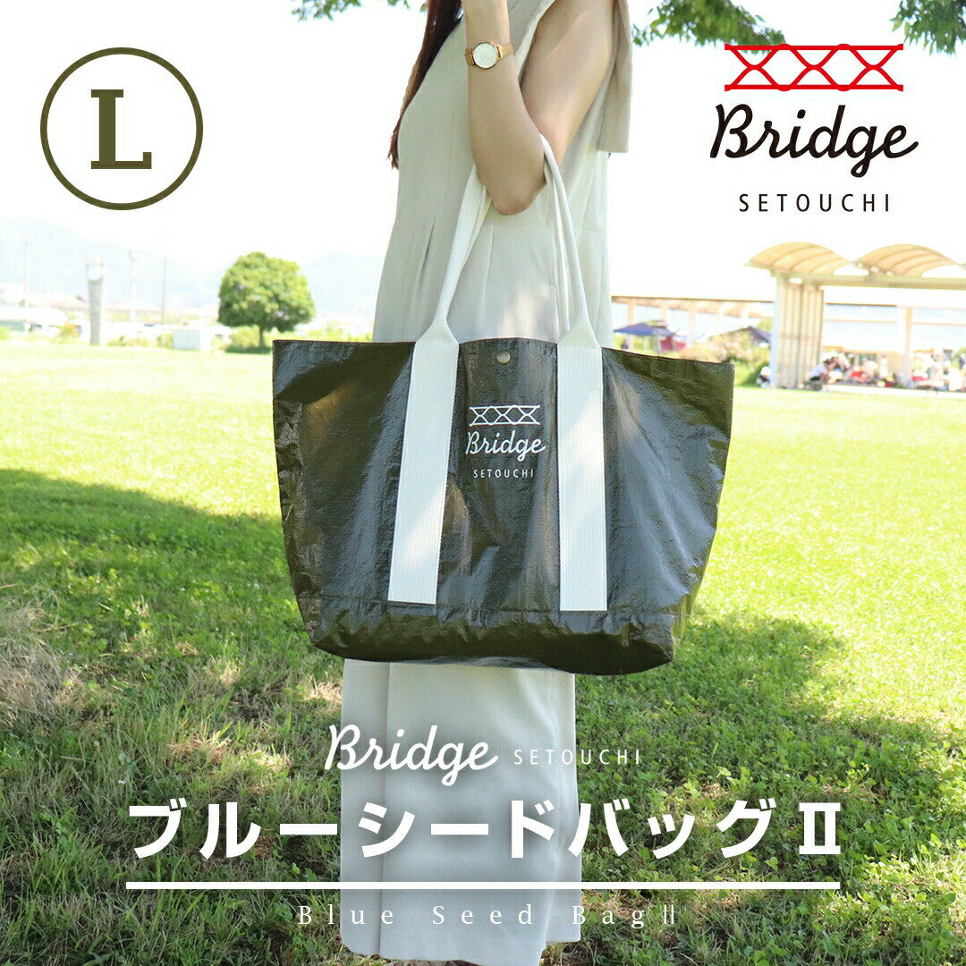 BRIDGE SETOUCHI ブルーシードバッグ2 Lサイズ | オリーブドラブ ODグリーン 大容量 マチ広 リニューアル 送料無料