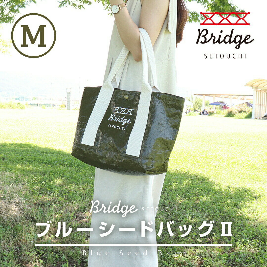 BRIDGE SETOUCHI ブルーシードバッグ2 Mサイズ | オリーブドラブ ODグリーン 大容量 マチ広 リニューアル 送料無料